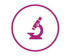 Icon	Microscope