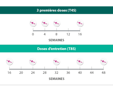 dose-schedule