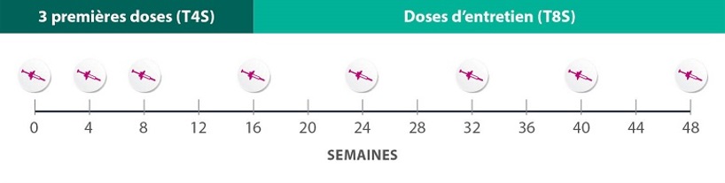 dose-schedule